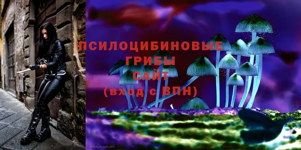 MDMA Аркадак