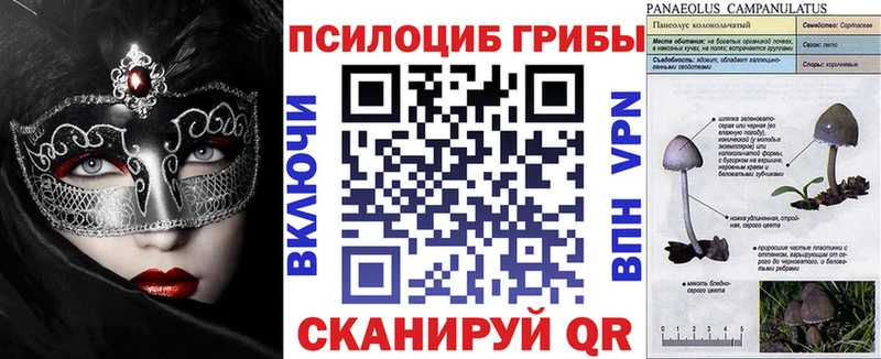 Псилоцибиновые грибы прущие грибы Козьмодемьянск